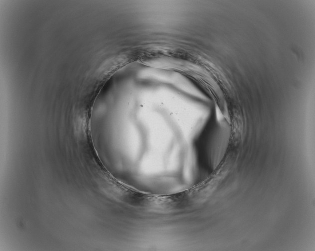 X0000111680333200908071430