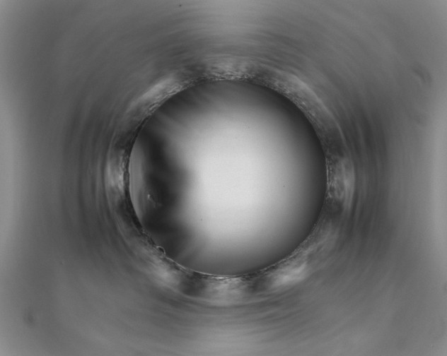 X0000111680334200908071430