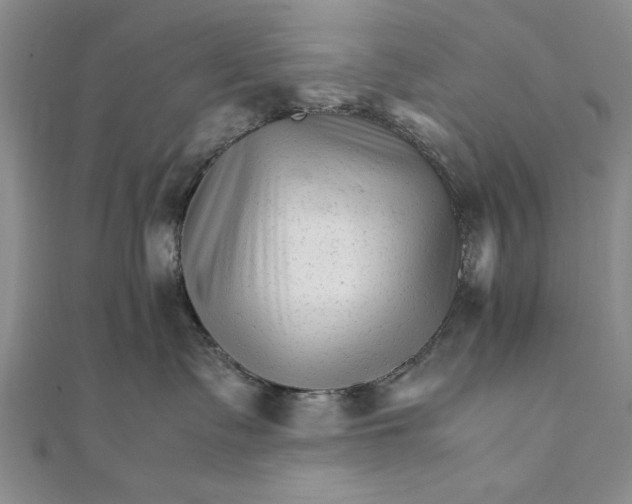 X0000111680335200908071430