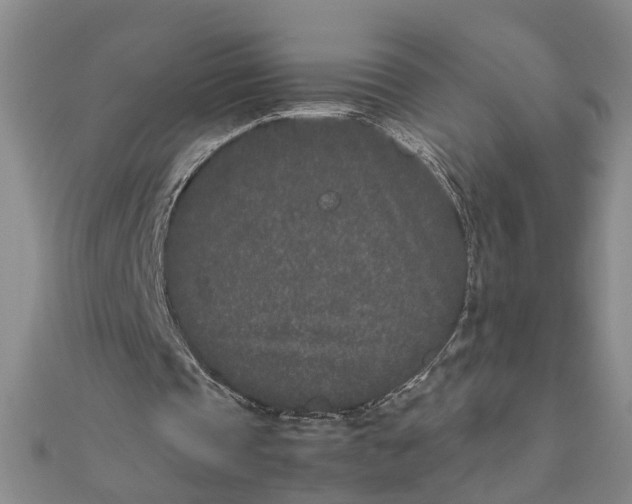 X0000111680337200908071429