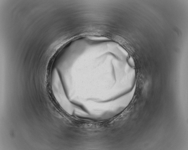 X0000111680338200908071429