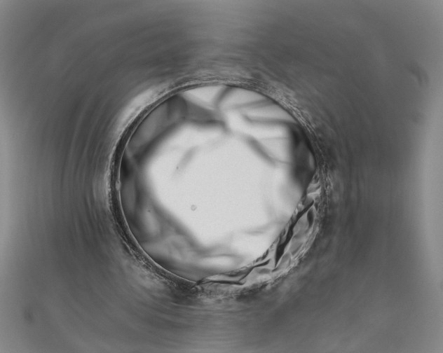 X0000111680340200908071429