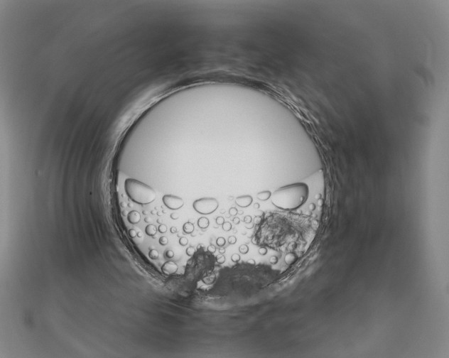 X0000111680341200908071429