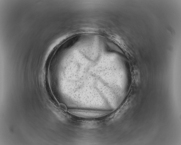 X0000111680342200908071429