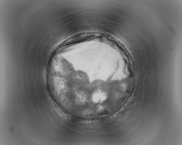 X0000111680345200908071429