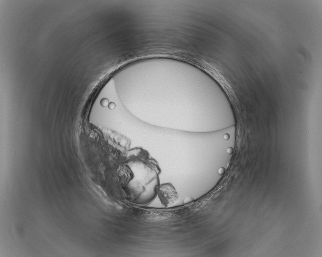 X0000111680346200908071429