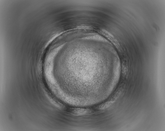 X0000111680347200908071429