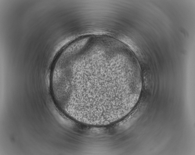 X0000111680350200908071429