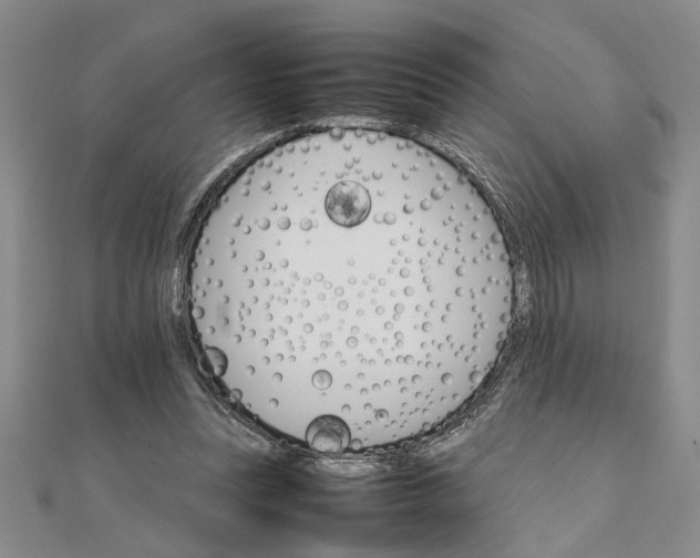 X0000111680351200908071429