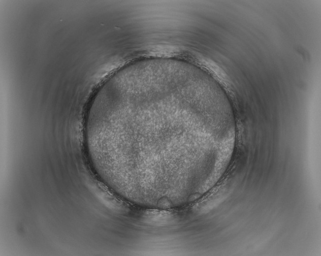 X0000111680354200908071429