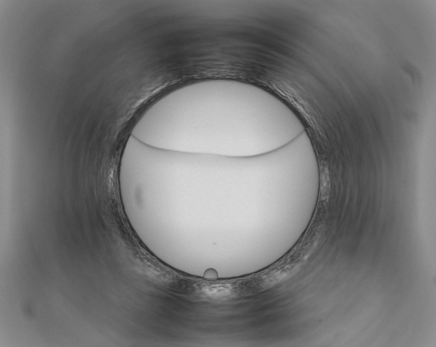 X0000111680355200908071429