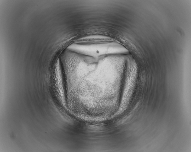 X0000111680359200908071429