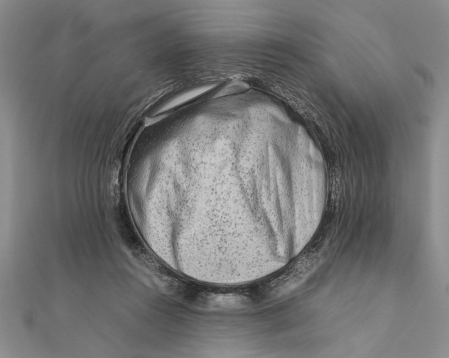 X0000111680360200908071429