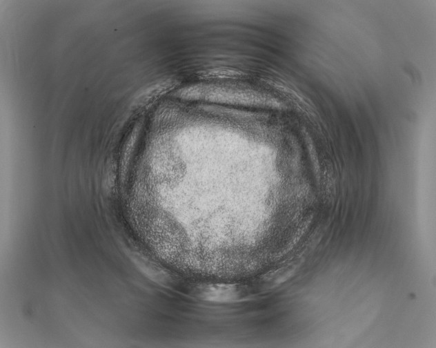 X0000111680361200908071429