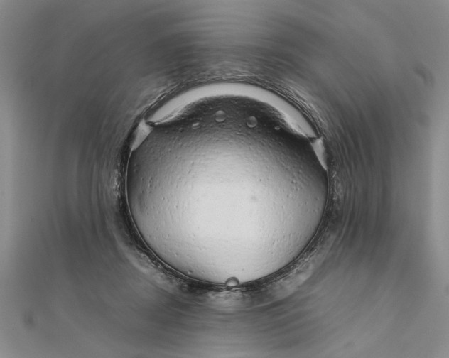 X0000111680362200908071429