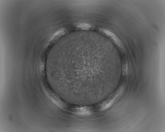 X0000111680365200908071429