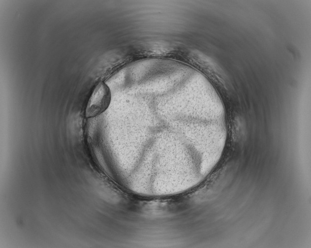 X0000111680366200908071429