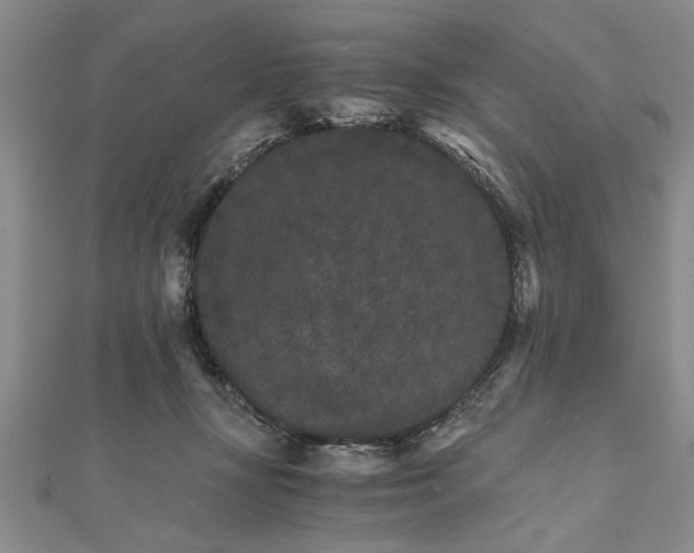 X0000111680367200908071429