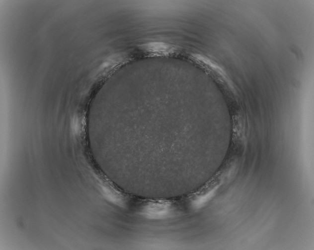 X0000111680369200908071430