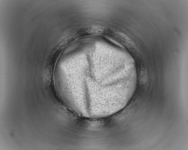 X0000111680370200908071430