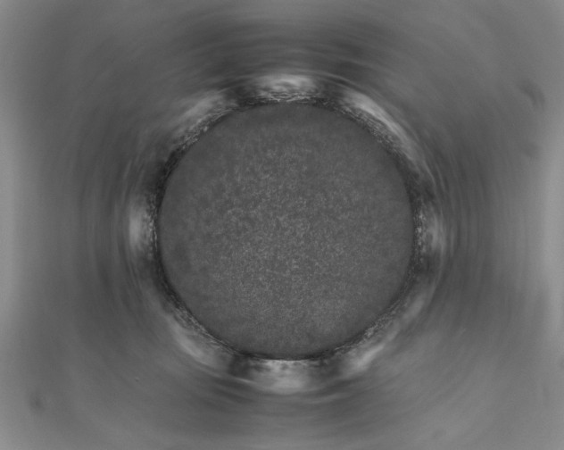 X0000111680371200908071430