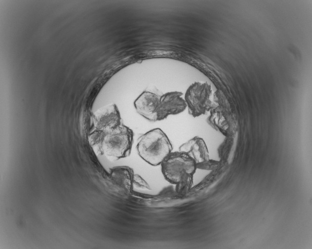 X0000111680373200908071430