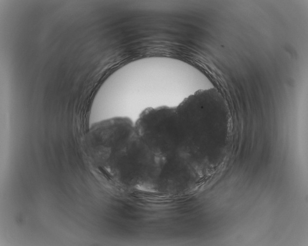 X0000111680375200908071430