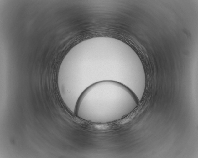 X0000111680376200908071430