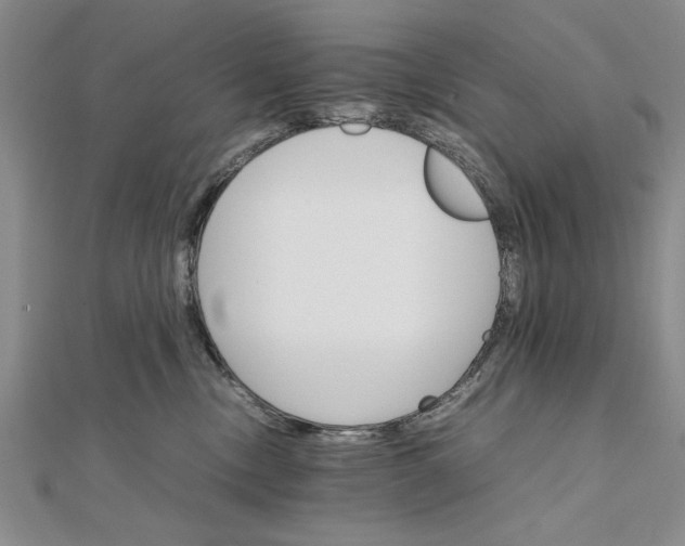 X0000111680378200908071430