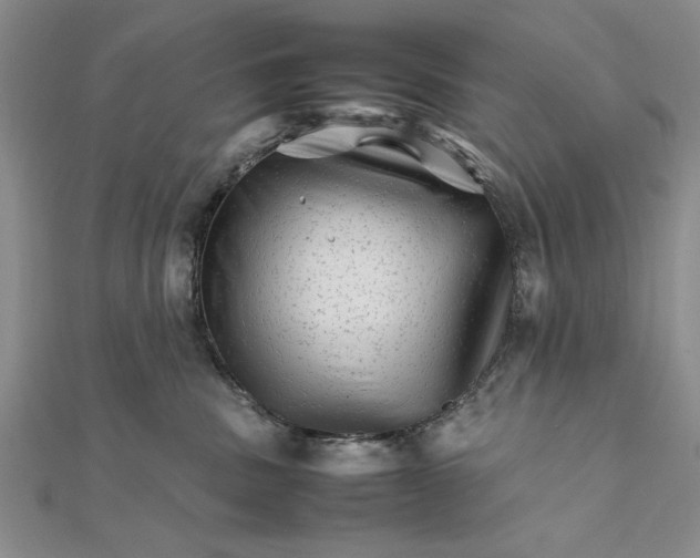 X0000111680379200908071430