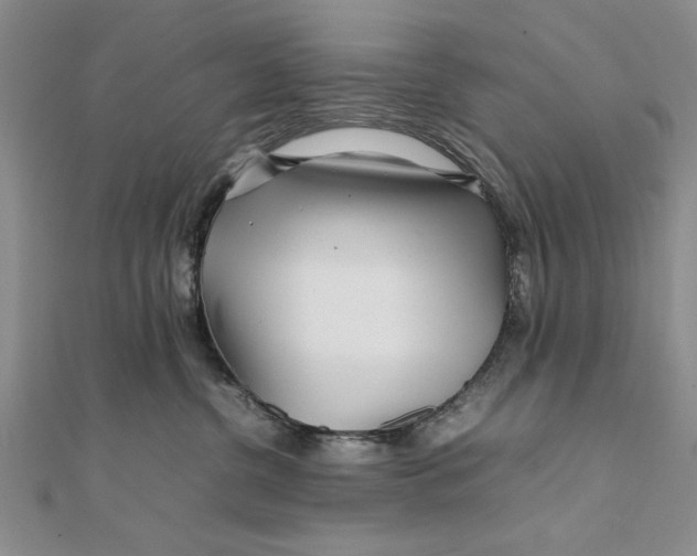 X0000111680380200908071430