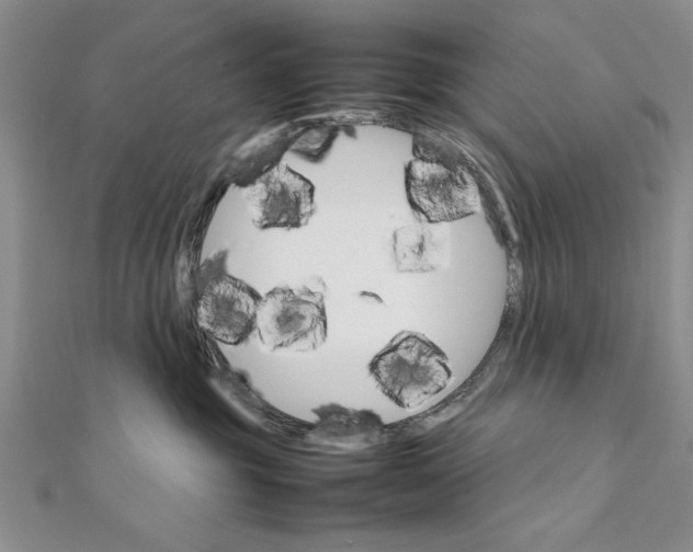 X0000111680381200908071430