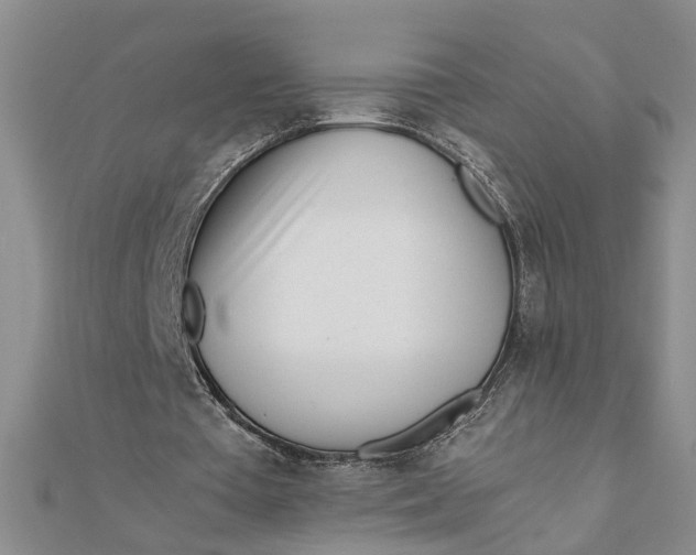 X0000111680385200908071429