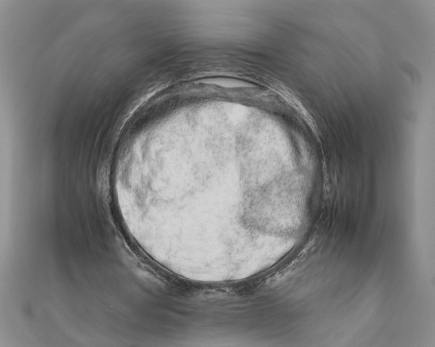 X0000111680386200908071429