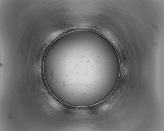 X0000111680389200908071429