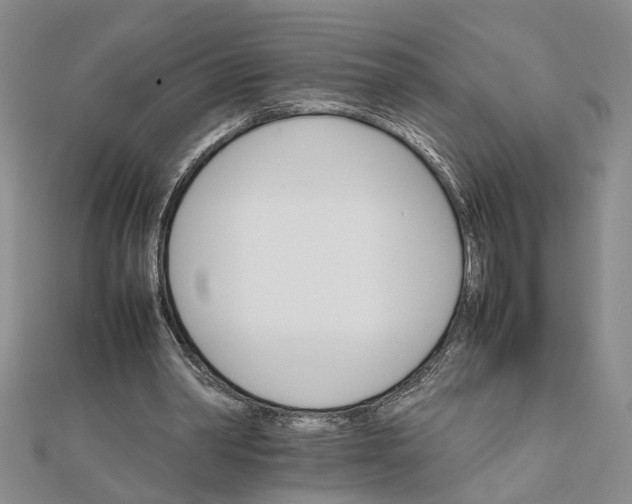 X0000111680390200908071429