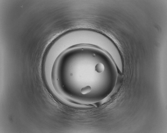 X0000111680391200908071429