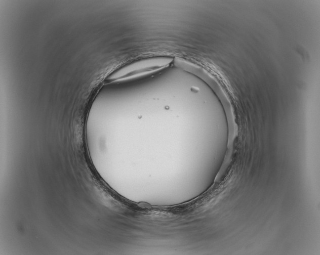 X0000111680393200908071429