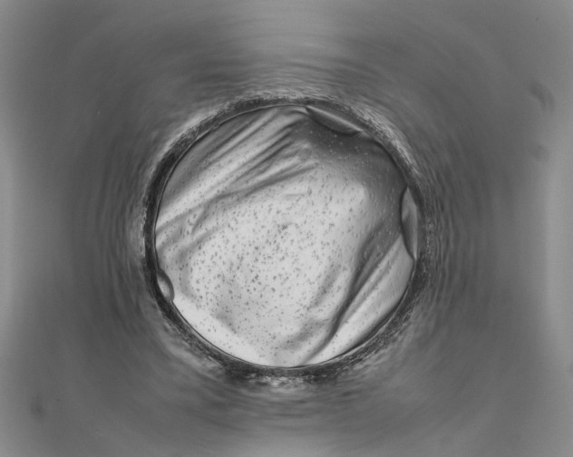 X0000111680395200908071429