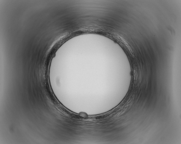 X0000111680396200908071429