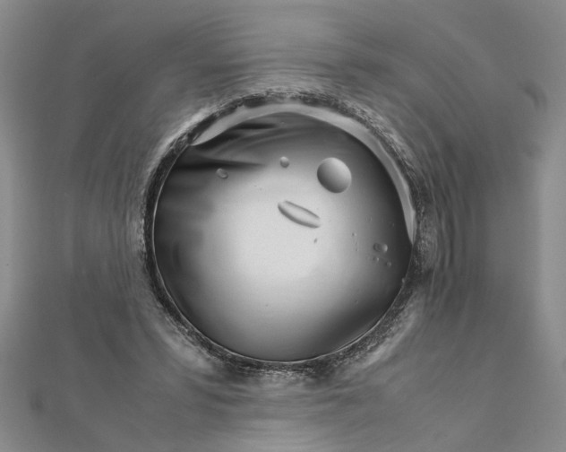 X0000111680399200908071429