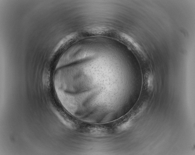 X0000111680400200908071429