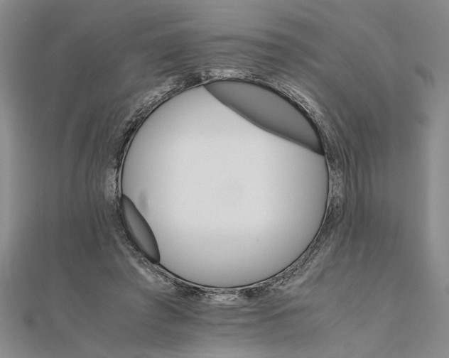 X0000111680401200908071429