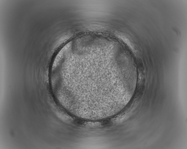 X0000111680403200908071429