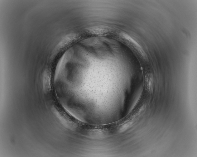 X0000111680404200908071429