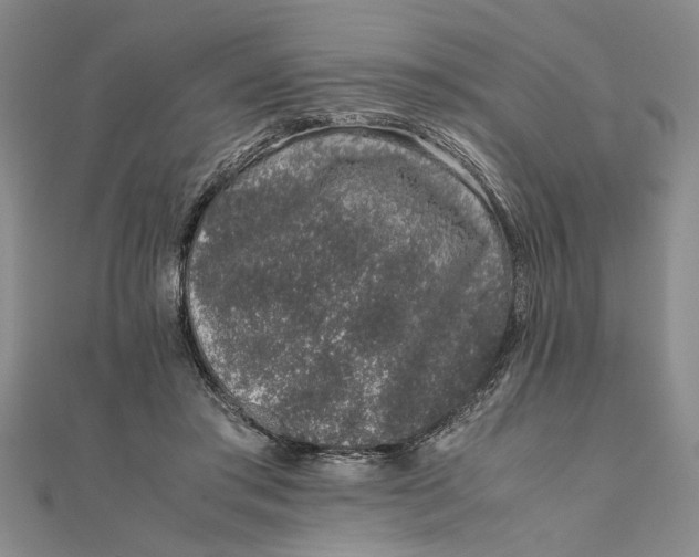 X0000111680405200908071429