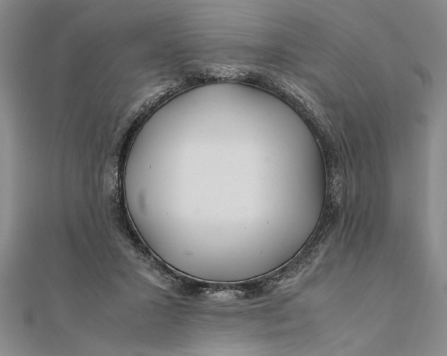 X0000111680407200908071429