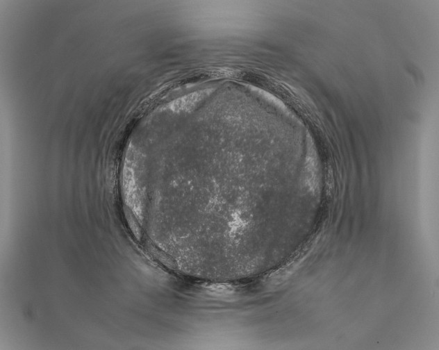 X0000111680409200908071429