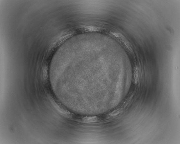 X0000111680410200908071429