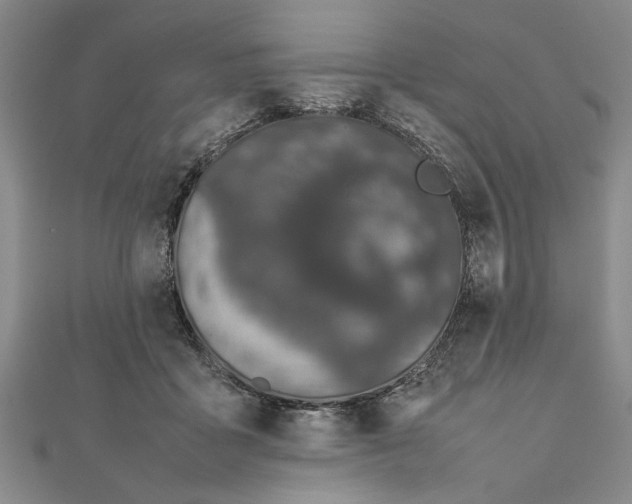 X0000111680411200908071429